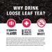 Tiesta Tea - 100 Count Disposable Loose Leaf Tea Filters | Eco-Friendly, Unbleached Paper Infusers for Hot & Iced Tea - Buy Online on GoSupps.com