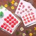 60PCS Real Pressed Dried Flowers for Resin Crafts - Natural Dried Flowers for Candle Making, Jewelry, Phone Cases & Framed Decor (Red) - Buy Online on GoSupps.com