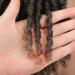 AIXI 8 inch Synthetic Braided Ombre Dreadlocks Wig for Black Women - Short Afro Curly Daily Wig - Heat Resistant Faux Locs Crochet Hair (8 Inch T1B/27) - Buy Online on GoSupps.com