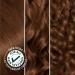 Garnier Nutrisse 535 Medium Golden Mahogany Brown Hair Dye - Nourishing Creme, Permanent Color - 1 Count - Buy Online on GoSupps.com