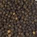 Buy Organic Whole Black Pepper Campot - 100g | Premium Spices for International Shipping - Buy Online on GoSupps.com
