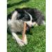 BULLY PALS - 12" Monster Bully Sticks for Big Dogs Power/Aggressive chewers - Thickest - 3 Pack - Long Lasting All Natural Single Ingredient Dog Dental Chews and Treats - Buy Online on GoSupps.com
