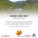 Escuminac Canadian Maple Syrup Value Bundle - 3 Harvests, Extra Rare & Organic - 16.9 fl oz x 3 Pack - Buy Online on GoSupps.com