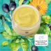 TEMPLESPA In The Beginning Facial Balm Cleanser | Deep Nourishment Gentle Exfoliation Vegan & Cruelty-Free | 2.5 fl.oz - Achieve Fresh Super Soft Skin - Buy Online on GoSupps.com