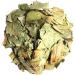 Dried Graviola Leaves Dried Soursop Tea Leaves Hojas de Guanabana 4 oz (113 G) - Buy Online on GoSupps.com