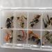 BestCity Fly Fishing Nymph Beadhead Selection - 32 Premium Trout Flies with Clip Closure Box #341 - International Shipping Available - Buy Online on GoSupps.com