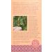 Equal Exchange Organic Vanilla Rooibos Tea - 20 Count (Pack of 3) | Caffeine-Free Herbal Blend - Buy Online on GoSupps.com