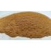 AgoraMarket Real Ceylon Cinnamon Powder Not Cassia 85 Grams 195 Kilo Premium Quality 85 grams - Buy Online on GoSupps.com
