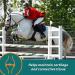 Farnam Next Level Joint Fluid Supplement 16oz - Supports Hip & Joint Health for Horses & Dogs - Buy Online on GoSupps.com