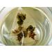The Tao of Tea Jasmine Pearls Bo te de 15 sachets pyramides 1 05 onces - Buy Online on GoSupps.com