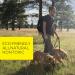 Dog Whisperer Tick & Flea Repellent 4 oz - All-Natural, Extra Strength Formula for Dogs & Their Owners - Buy Online on GoSupps.com