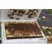 Global Patties 4% Pollen Patties for Bees - 1 lb | Protein Food Supplement for Honey Bees - Buy Online on GoSupps.com