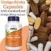 Now Foods Double Strength Ginkgo Biloba 120mg - 100 Vegan Capsules | Lab-Tested, SOYA Free, Gluten Free, Vegetarian, Non-GMO - Buy Online on GoSupps.com