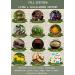 Liver Support Complex - Herbal Blend for Liver & Gallbladder Health - 60 Capsules - Buy Online on GoSupps.com