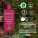 Helan Dolce Muschio-Shampoing et gel douche 2en1 pour hommes et femmes la vitamineC antioxydante d licat pour un peau douce Gel douche corps et cheveux 94% origine naturelle Fabriqu en Italie 200ml - Buy Online on GoSupps.com