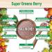 Country Farms Super Greens Alkalizing Formula Berry - 10.6 oz (300g) | Boost Energy & Detoxify - Buy Online on GoSupps.com