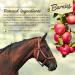 Barnie s All-Natural Horse Treats Vitamin-Enhanced Locally Sourced Canadian-Made Biscuits for Horses | 4 Flavours (Classic Apple Watermelon Peppermint) (3.5kg Apple) - Buy Online on GoSupps.com