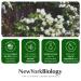 New York Biology Tea Tree Body Wash with Tea Tree Oil Foot Cream for Dry Cracked Feet - Helps Jock Itch & Itchy Skin Nail Fungus Athletes Foot Eczema & Body Odor Ringworms Moisturizing Cream - Buy Online on GoSupps.com