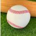 Blank Leather Baseball for Autographs, Crafts & Souvenirs | Regulation Size & Weight, Quality Stitching - Perfect for Custom Gifts & Youth Play - Buy Online on GoSupps.com