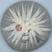 Pu-erh tea 2006 Custom Tea 55 China Tea Trademark Registration 55th Anniversary Cake 357g Raw - Buy Online on GoSupps.com