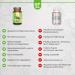 Begreen Per Green - Darm-Flora Cure | Vegan Lactic Acid Bacteria | Boost Gut Health with Inulin | International Shipping Available - Buy Online on GoSupps.com