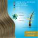 Collagen and Hyaluronic Acid + Vitamin C Biotin Zinc and Iron | Colageno Concentrated Formula With Marine Collagen for Men and Women | Hair Food Supplement 60 Capsules - Buy Online on GoSupps.com