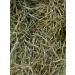 Second Cut Timothy Rabbit Hay from Elmsview Farms - 10lb Box of Small Pet Timothy Hay Mix