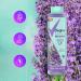 Degree Maximum Recovery Body Wash and Soak - Lavender Extract + Epsom Salt - 22 Fl Oz (Pack of 4) - Buy Online on GoSupps.com