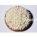Zestful Foods Whole Grain Rolled Barley | USA Grown | 3 Pounds - Buy Online on GoSupps.com