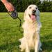 Ferplast Flippy Tech Dog Leash for Medium Dogs Up to 25kg - 3m Extendable Roller Line with Locking Button - Black - Buy Online on GoSupps.com