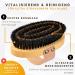Buddy Bruno Dog Brush for Short Hair - 100% Natural Bristles | Premium Fur Care for Dogs & Cats | Includes Brush Cleaner | Made in DE - Buy Online on GoSupps.com