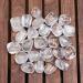 Crocon Clear Quartz Gemstone Rune Stone with Elder Futhark Alphabet Engraved Symbol 25 pcs Set | Size: 15-20 mm | With a pouch & rune brochure - Buy Online on GoSupps.com