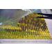 Mosaiko 16x24 inch Extra Large Diamond Painting Kit - 5D Full Drill Square DIY Nature Landscape Series: Green Hills - Crystal Rhinestone Embroidery Cross Stitch Canvas - Buy Online on GoSupps.com