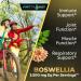 Purity s Best BOSWELLIA SERRATA 4X + 10x + 20x Extract 3 500 mg Eq. Per Serving Boosts Immune Support Joint Muscle Mobility and Muscle Relief Max Strength 200 Veggie Caps 100% Vegan - Buy Online on GoSupps.com
