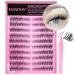 FANXITON Self Adhesive Lash Clusters | Natural Waterproof Wispy & Cat Eye Lashes - 180 pcs C Curl No Glue - Buy Online on GoSupps.com