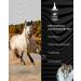 HOOFGOLD BlueStuff - 100ml Hoof Care for Horses | Quick Thrush Remedy | International Shipping - Buy Online on GoSupps.com