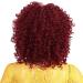MEIRIYFA Short Afro Kinky Curly Wigs for Black Women Fluffy Wavy Black with Bangs Synthetic Wig Natural Looking with Wig Cap 14Inch (Red) - Buy Online on GoSupps.com