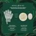 EcoTools Limited Edition Snowy Glow Kit Shower Gloves Dry Body Brush Foot Pumice Stone & Foot Soak 4 Piece Gift Set Snowy Glow Set 4 Piece - Buy Online on GoSupps.com
