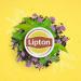  Lipton Lipton Infusion Verbena Mint 40 Nespresso Compatible Capsules Anti-stress Flavourful Mint Fragrance Rainforest Alliance Label (Pack of 4 x 10 Capsules) - Buy Online on GoSupps.com