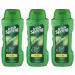 Irish Spring Body Wash Aloe 18 Fluid Ounce (Pack of 3)