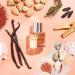 Lake & Skye C te Du Paradis Eau de Parfum Spray -Vegan Cruelty Free Synthetic Free 1.7 fl oz (50 ml) - Warm and Woody Gourmand Fragrance Collection 1.7 Fl Oz (Pack of 1) - Buy Online on GoSupps.com