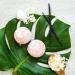 Naples Soap Co. Epsom Salt Cocoa & Shea Butter Aromatherapy Bath Bomb Variety Box - Set of 5 Tropical & Floral Scents - Buy Online on GoSupps.com