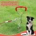 EFUTURTETIME Plution for Dishes Lice & 9m Dog Leash - Durable Base Piral Dog Floor Anchor for Outdoor Camping & Farm Use - Perfect for Small to Large Dogs - Buy Online on GoSupps.com