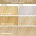 Smart Beauty Ash Blonde Hair Dye with Plex Anti-Breakage Technology - Vegan & Cruelty-Free | Permanent Hair Colour for Hair Structure Protection - Buy Online on GoSupps.com