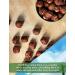 Oregon Hazelnuts (Filberts) | Raw, Unsalted, JUMBO SIZE | Steam Pasteurized, NON-GMO | No Shell, Just Kernels | 1 LB Packed in Resealable Bag - Buy Online on GoSupps.com
