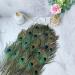 THARAHT 12pcs 10-12 inch Peacock Feathers Bulk for Crafts & Decorations - Buy Online on GoSupps.com