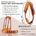 Esposita Professional Carriage Dishes for Shetty Pony & Horse | Mini to XL Cold Blood Routing - Light Brown - Buy Online on GoSupps.com