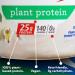Premier Plant Protein Powder Vanilla - 25g Plant-Based Protein, 0g Sugar, Gluten Free - 15 Servings - Buy Online on GoSupps.com