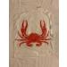 UMT Plastar 50-Piece Biodegradable Disposable Adult Plastic Bibs - 23 Inches Large Size for Seafood Parties - Perfect for Restaurants or Home Use - Buy Online on GoSupps.com