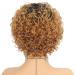 Brown 1B30 Short Curly Wig for Black Women - 8 inch Human Hair Highlights Wig with Bangs - Machine Made Natural Curls for Middle Aged Women - Buy Online on GoSupps.com